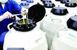 廊坊及周边地区部分有名的三代试管助孕机构(TOP5榜单)